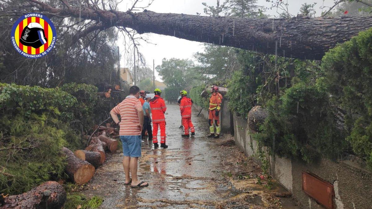 Tormentas en Valencia: daños devastadores y esfuerzos de los municipios para recuperar la normalidad