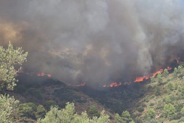 Incendio en Segorbe: Evacuación de Gátova por riesgo de fuego
