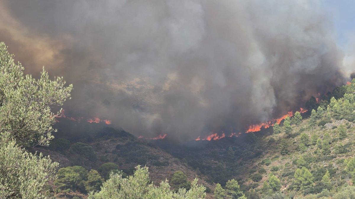 Incendio en Segorbe: Evacuación de Gátova por riesgo de fuego