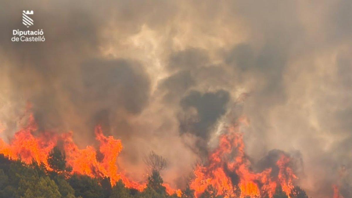 El incendio en Segorbe devora 633 hectáreas y mantiene en alerta a la Sierra Calderona