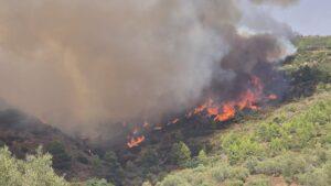 La trágica advertencia en la Sierra Calderona: Alcaldes piden un cortafuegos horas antes del devastador incendio