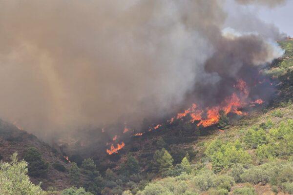 La trágica advertencia en la Sierra Calderona: Alcaldes piden un cortafuegos horas antes del devastador incendio