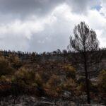 El incendio en Segorbe arrasa 630 hectáreas y aún no se logra extinguir