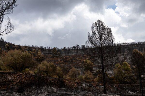El incendio en Segorbe arrasa 630 hectáreas y aún no se logra extinguir