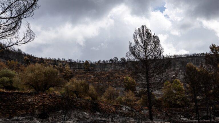 El incendio en Segorbe arrasa 630 hectáreas y aún no se logra extinguir