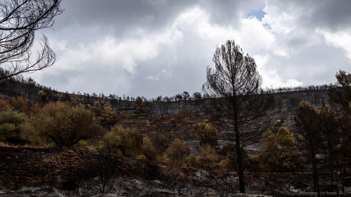 El incendio en Segorbe arrasa 630 hectáreas y aún no se logra extinguir