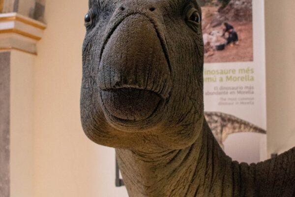 Infección bacteriana en un dinosaurio de Morella: la sorprendente causa de su malestar hace 125 millones de años