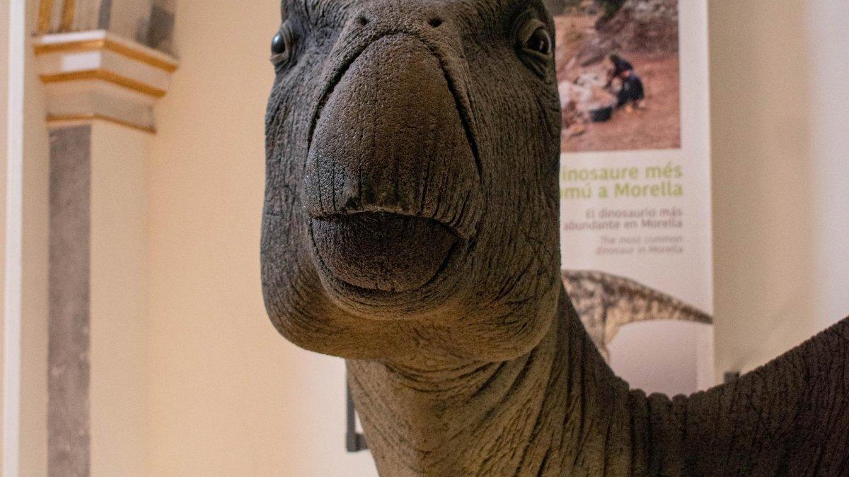 Infección bacteriana en un dinosaurio de Morella: la sorprendente causa de su malestar hace 125 millones de años