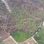 Nuevo foco del incendio en Onda: controlado pero no extinguido tras devastar 9.000 hectáreas en la Sierra de Espadán