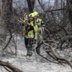 Indicios de Provocación en el Incendio de El Saler: Causas Naturales Descartadas