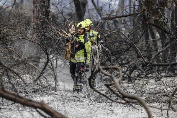 Indicios de Provocación en el Incendio de El Saler: Causas Naturales Descartadas