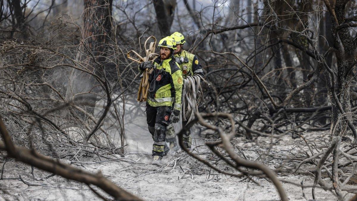 Indicios de Provocación en el Incendio de El Saler: Causas Naturales Descartadas
