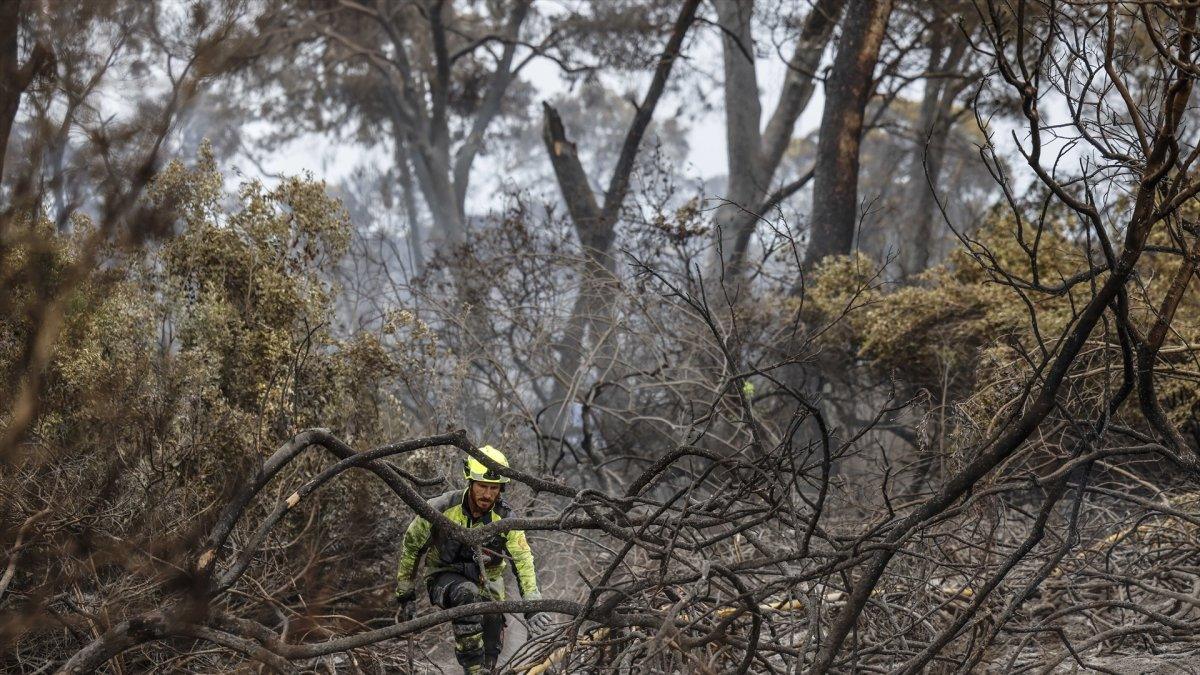La recuperación de El Saler tras el incendio: un proceso que llevará 20 años
