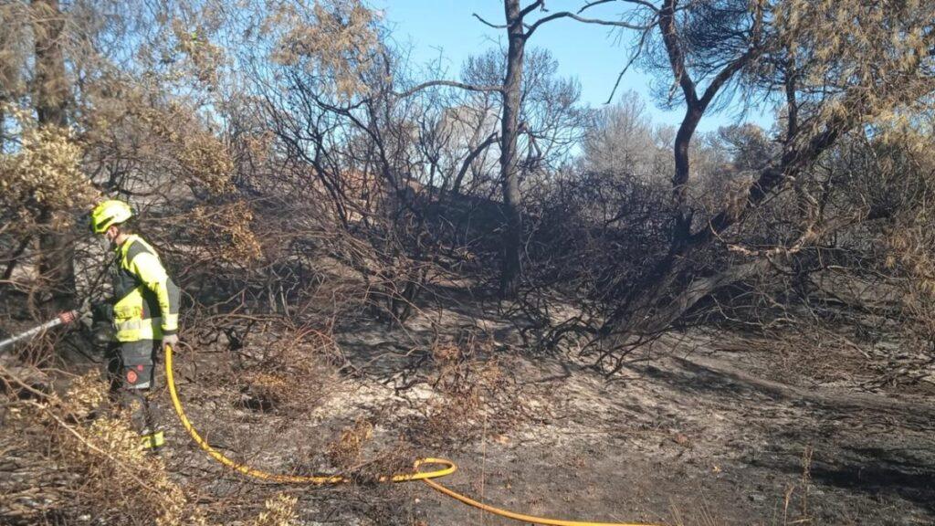Incendio en El Saler: Reapertura de la CV 500 y restablecimiento del acceso a playas, restaurantes y EMT a partir de medianoche