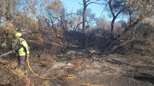 Incendio en El Saler: Reapertura de la CV 500 y restablecimiento del acceso a playas, restaurantes y EMT a partir de medianoche