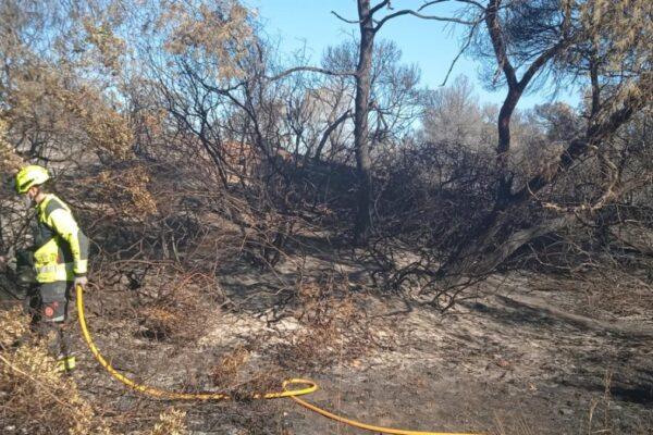 Incendio en El Saler: Reapertura de la CV 500 y restablecimiento del acceso a playas, restaurantes y EMT a partir de medianoche