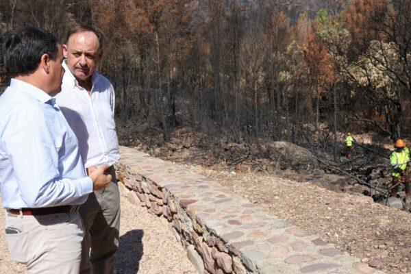 Pérez Llorca remunera el cuidado del monte: Descubre la innovadora Ley Forestal de la Comunidad Valenciana