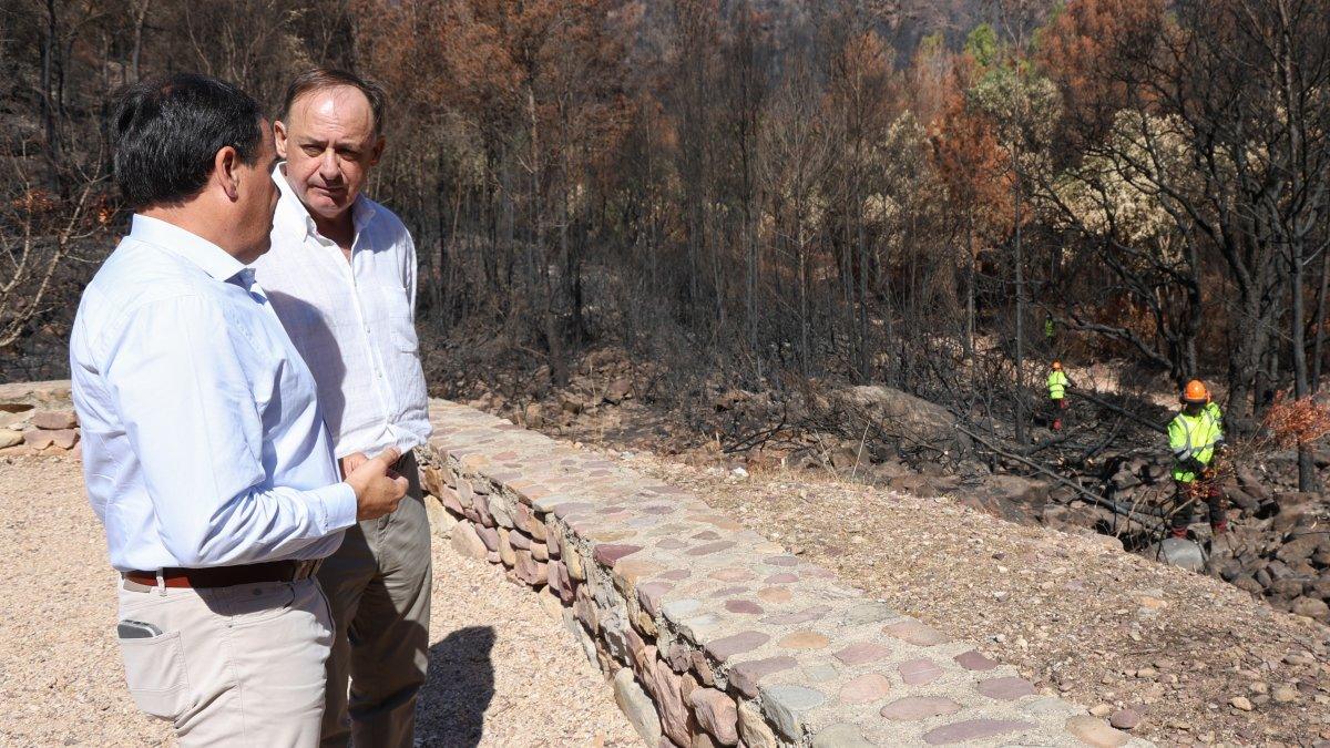 Pérez Llorca remunera el cuidado del monte: Descubre la innovadora Ley Forestal de la Comunidad Valenciana