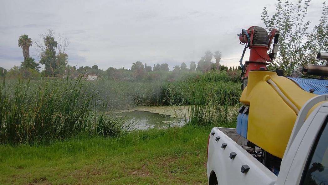 La Diputación de Castellón resalta la eficacia del Servicio de Control de Mosquitos para gestionar plagas en la provincia