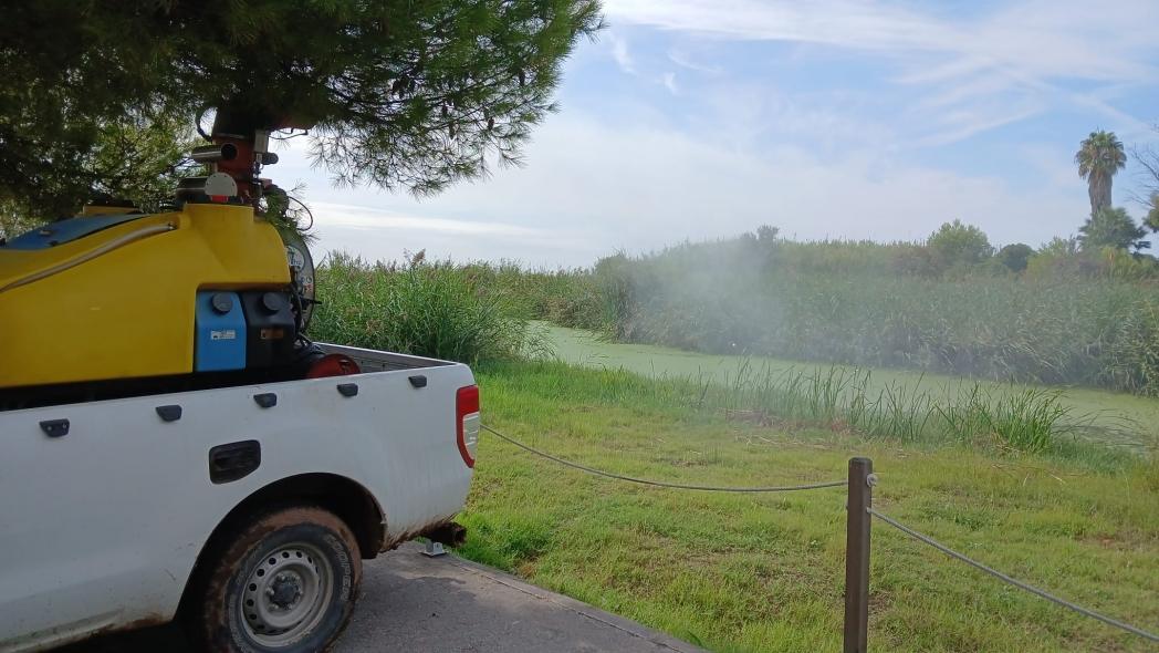 La Diputación refuerza la vigilancia y control de mosquitos tras las recientes lluvias
