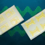 Científicos Transforman Bacterias en Transistores para Desarrollar Circuitos Vivos Innovadores
