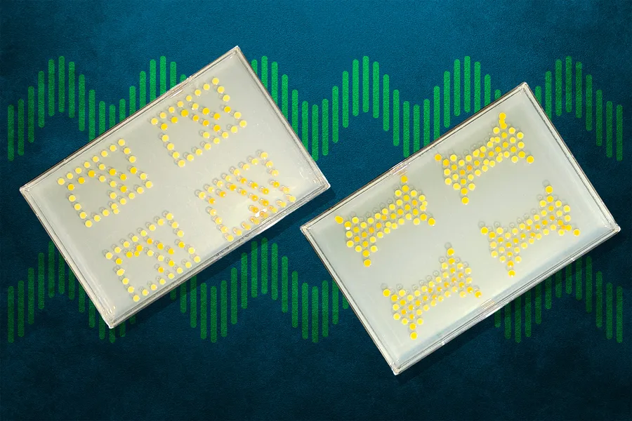 Científicos Transforman Bacterias en Transistores para Desarrollar Circuitos Vivos Innovadores