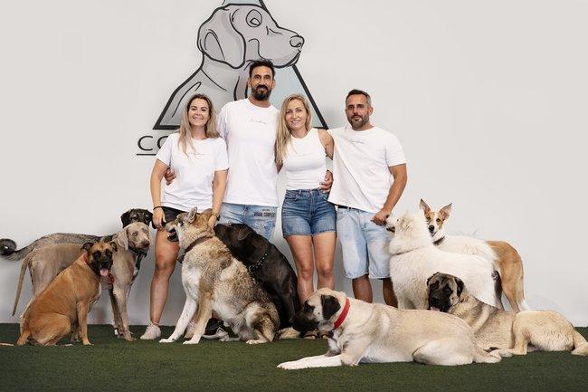 Rehabilitación de perros en Alzira: ConectaCan y el trabajo con casos de conducta complejos