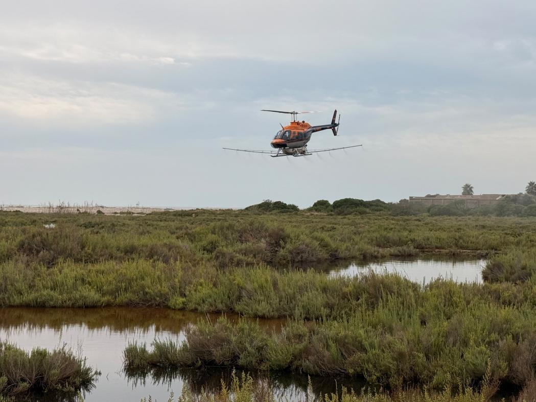 La diputación de Castellón intensifica el control de mosquitos con tratamientos aéreos y terrestres