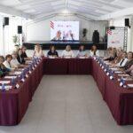 El Consell Provincial de la Dona propone a M.ª Dolores Guillamón para recibir la distinción ‘Construïm Juntes’