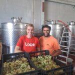 Bodega Claudio y Wine with Thamar: vinos Recordare y catas personalizadas en la Marina Alta