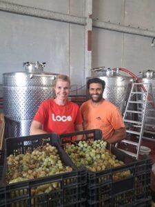 Bodega Claudio y Wine with Thamar: vinos Recordare y catas personalizadas en la Marina Alta