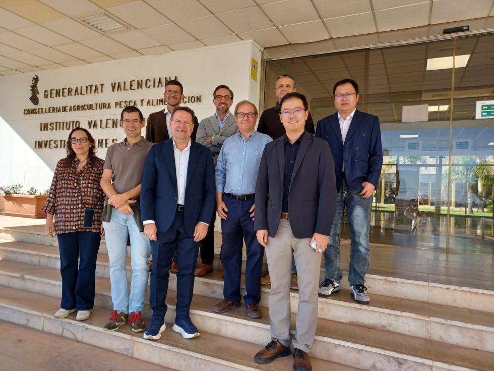 El IVIA crea una red internacional de expertos para combatir el virus de la clorosis nervial amarilla de los cítricos