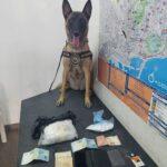 La Unidad Canina de Policía captura a un hombre con 678 gramos de cocaína gracias a la perra Kata