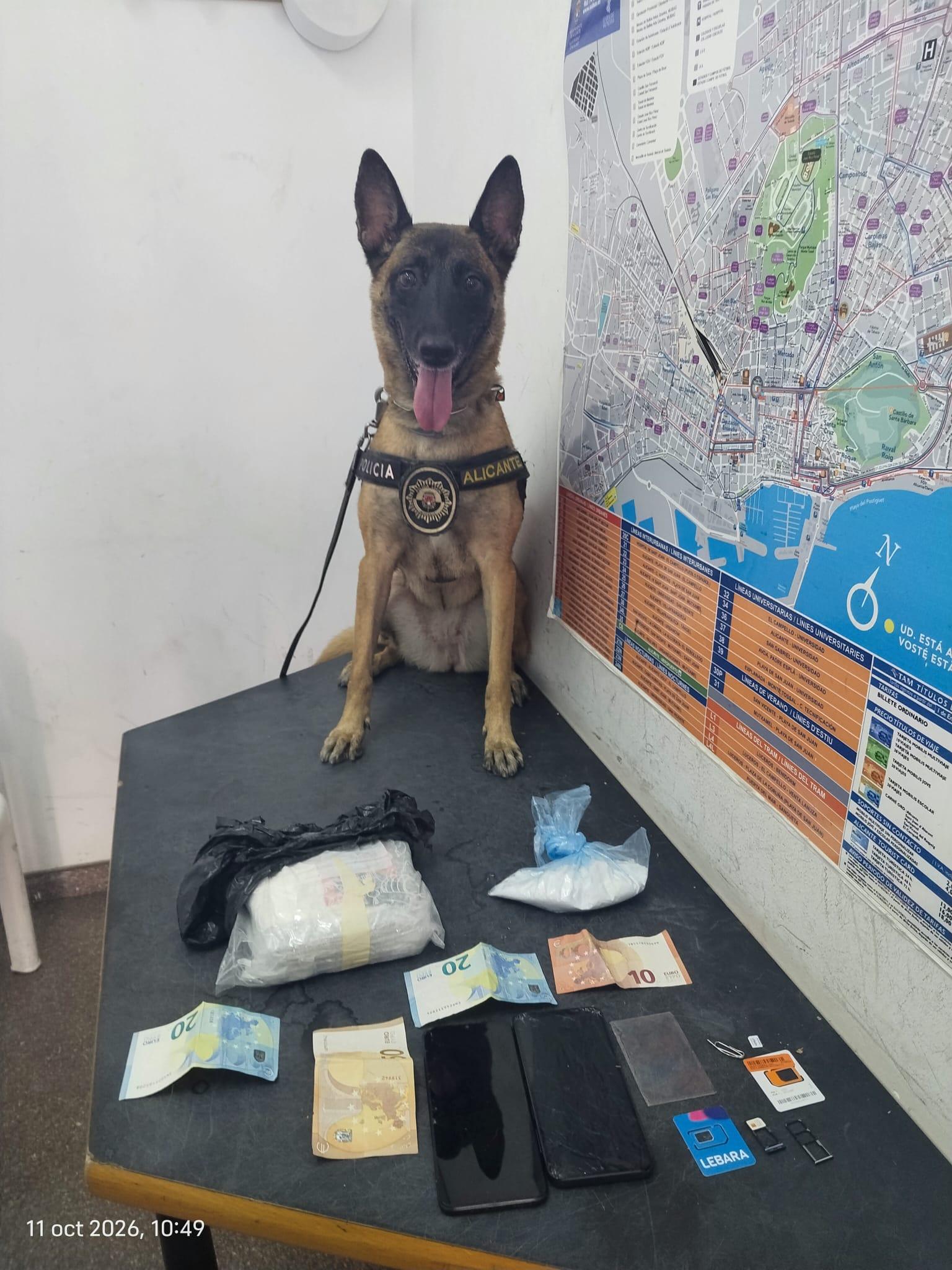 La Unidad Canina de Policía captura a un hombre con 678 gramos de cocaína gracias a la perra Kata